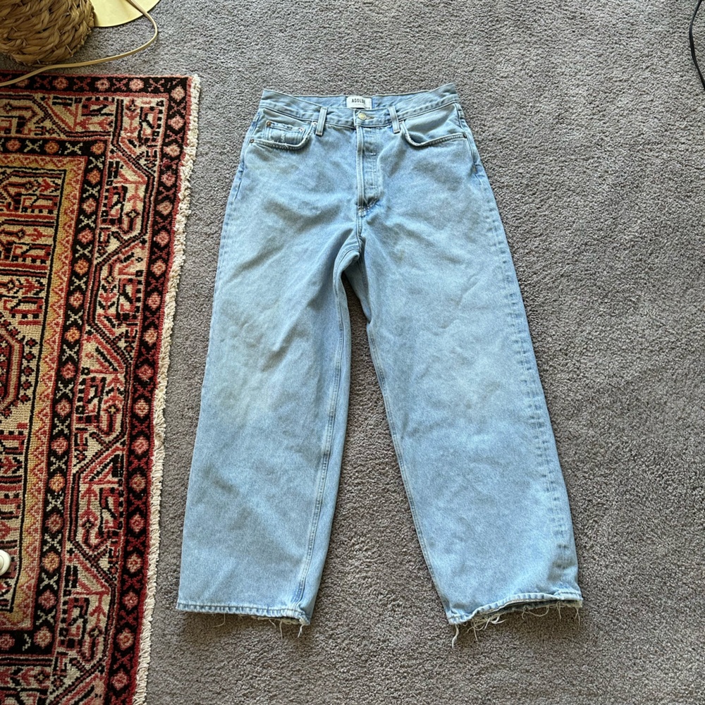 Agolde Low Slung Baggy Jeans